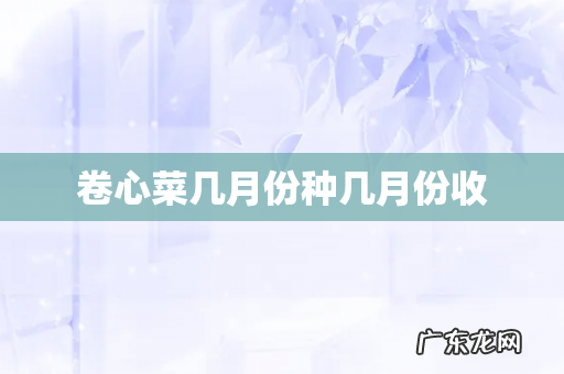 卷心菜几月份种几月份收