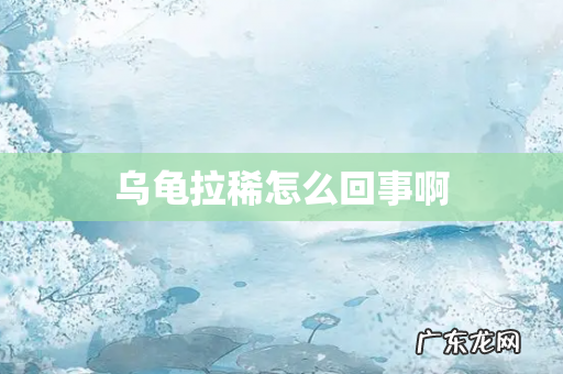 乌龟拉稀怎么回事啊