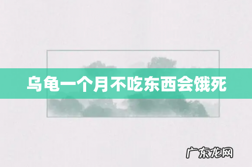 乌龟一个月不吃东西会饿死