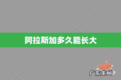 阿拉斯加多久能长大