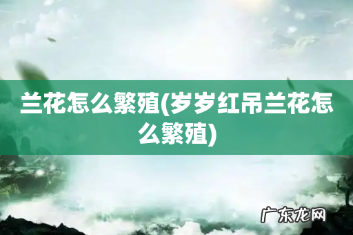 岁岁红吊兰花怎么繁殖 兰花怎么繁殖