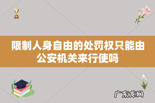 限制人身自由的处罚权只能由公安机关来行使吗