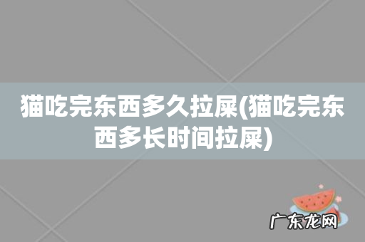 猫吃完东西多长时间拉屎 猫吃完东西多久拉屎