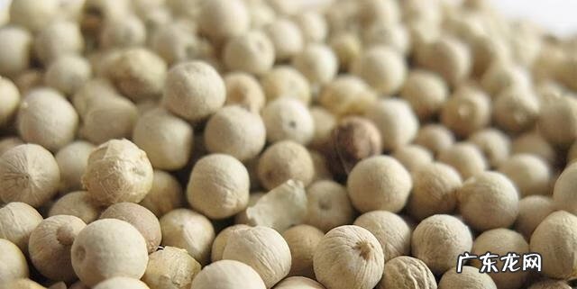 白胡椒粉的禁忌 白胡椒粉和黑胡椒粉有什么区别
