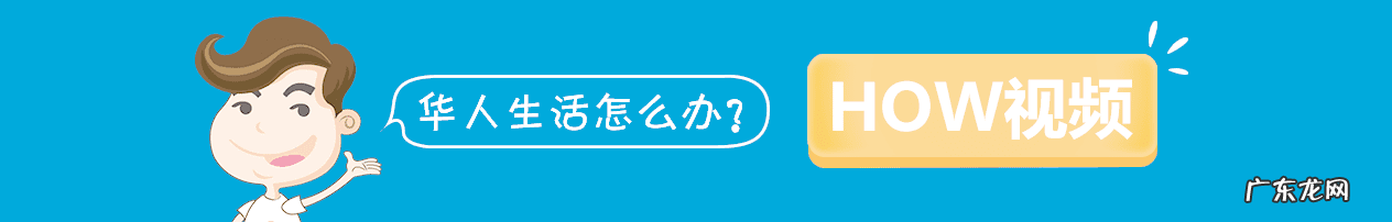 土蜂在家里筑巢风水 蜜蜂在屋檐下筑巢风水