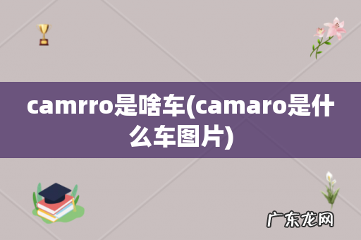 camaro是什么车图片 camrro是啥车