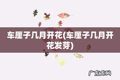 车厘子几月开花发芽 车厘子几月开花