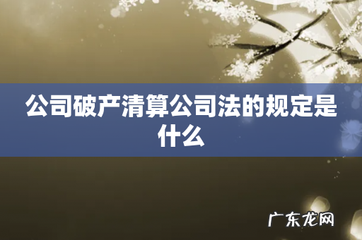 公司破产清算公司法的规定是什么