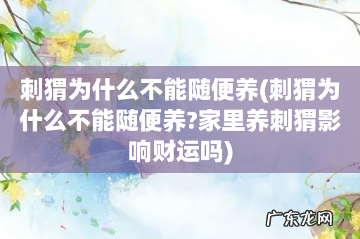 刺猬为什么不能随便养?家里养刺猬影响财运吗 刺猬为什么不能随便养