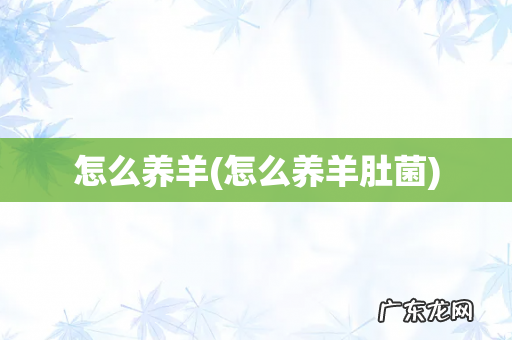 怎么养羊肚菌 怎么养羊