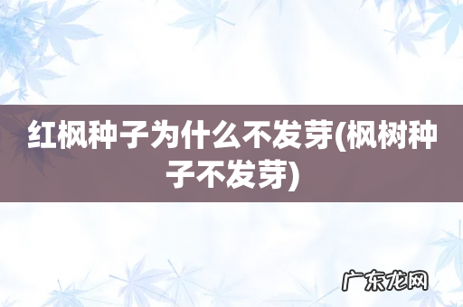 枫树种子不发芽 红枫种子为什么不发芽