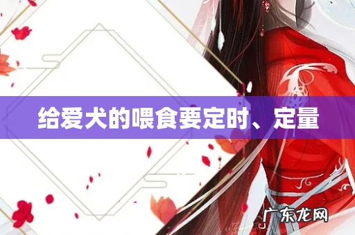 给爱犬的喂食要定时、定量