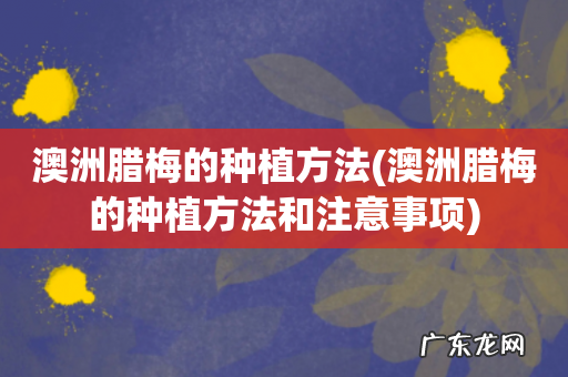 澳洲腊梅的种植方法和注意事项 澳洲腊梅的种植方法