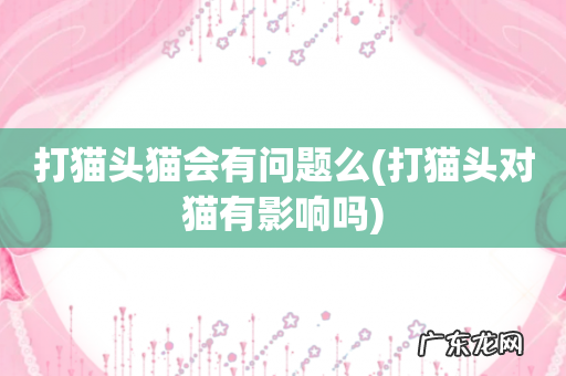 打猫头对猫有影响吗 打猫头猫会有问题么