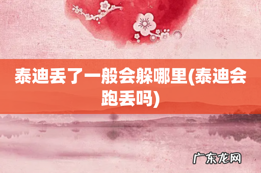 泰迪会跑丢吗 泰迪丢了一般会躲哪里