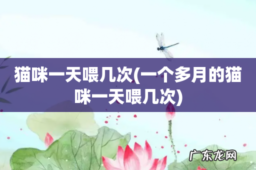 一个多月的猫咪一天喂几次 猫咪一天喂几次