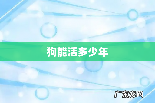 狗能活多少年