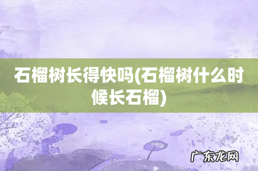 石榴树什么时候长石榴 石榴树长得快吗