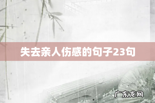 失去亲人伤感的句子23句