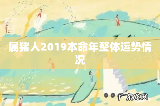 属猪人2019本命年整体运势情况
