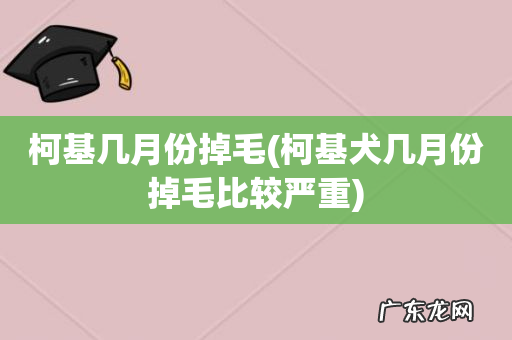 柯基犬几月份掉毛比较严重 柯基几月份掉毛
