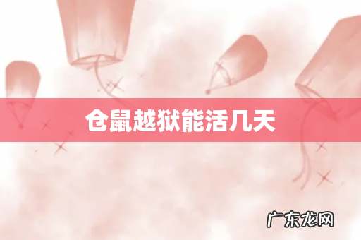 仓鼠越狱能活几天