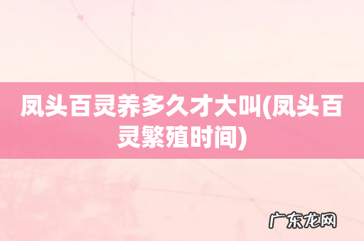 凤头百灵繁殖时间 凤头百灵养多久才大叫