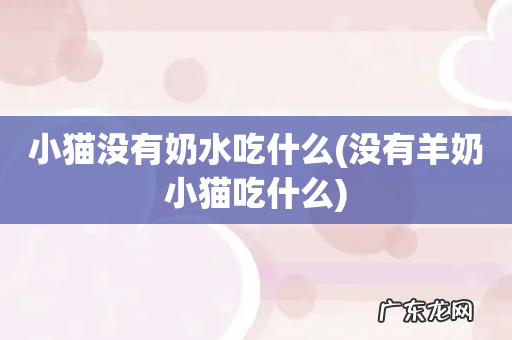 没有羊奶小猫吃什么 小猫没有奶水吃什么