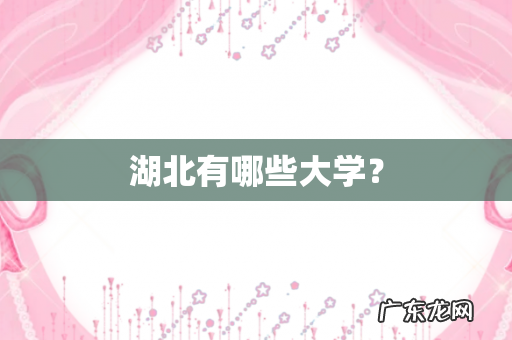 湖北有哪些大学?