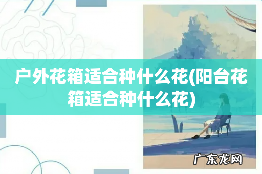 阳台花箱适合种什么花 户外花箱适合种什么花