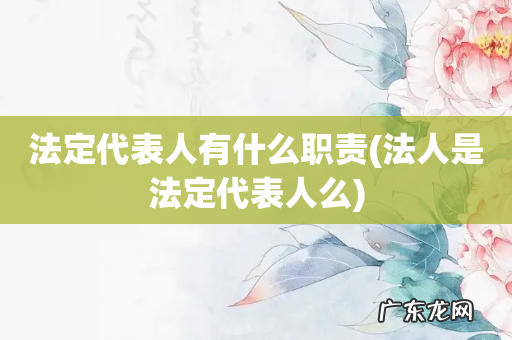 法人是法定代表人么 法定代表人有什么职责