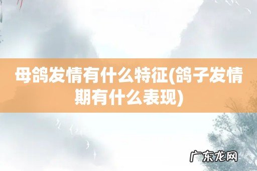 鸽子发情期有什么表现 母鸽发情有什么特征