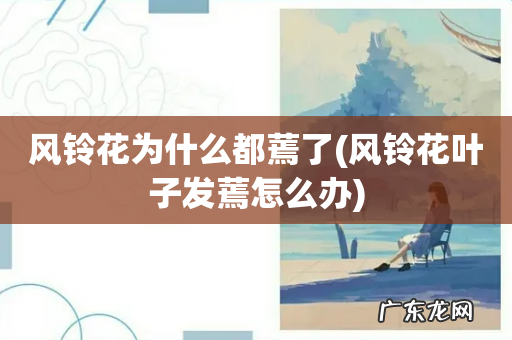 风铃花叶子发蔫怎么办 风铃花为什么都蔫了