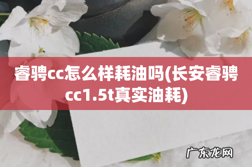 长安睿骋cc1.5t真实油耗 睿骋cc怎么样耗油吗