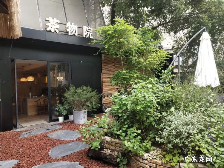 春风十里 春风水岸茶坊