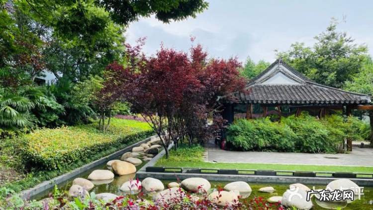 春风十里 春风水岸茶坊