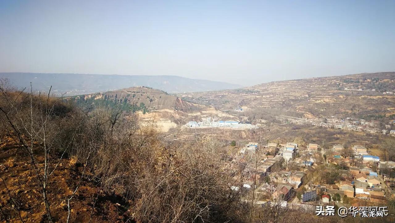 青州杏林堂 杏花 风水