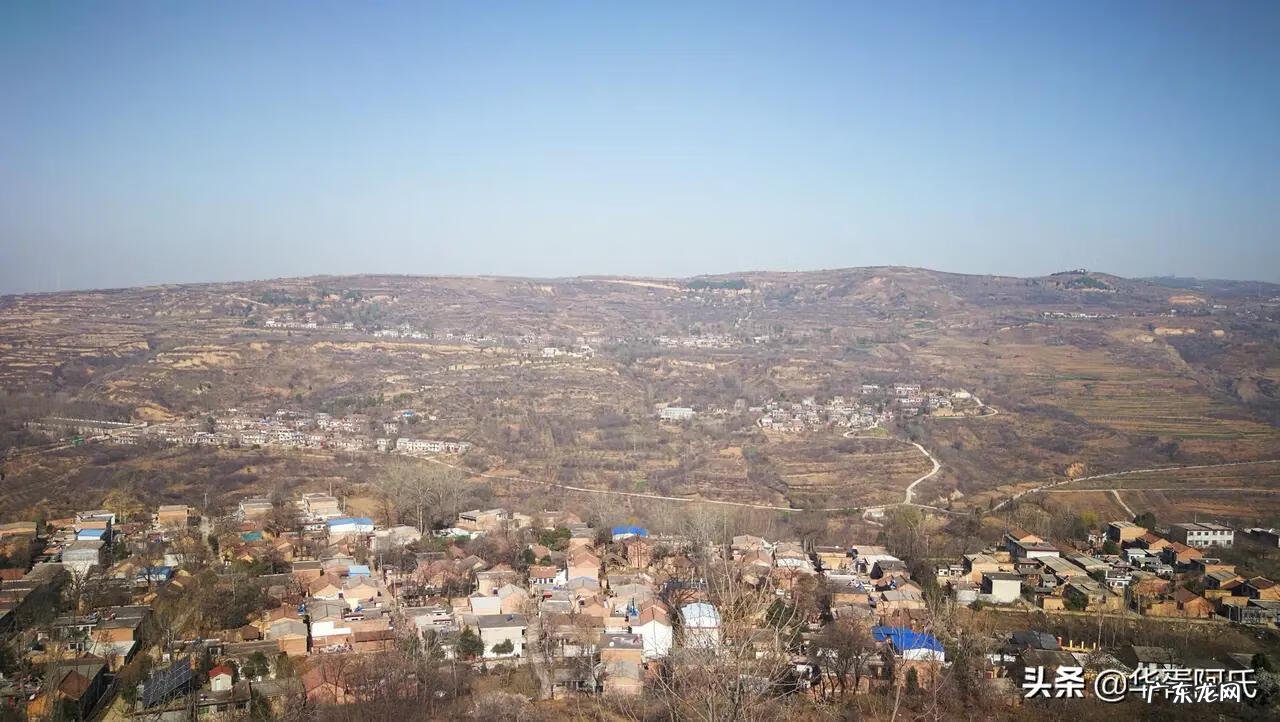 青州杏林堂 杏花 风水