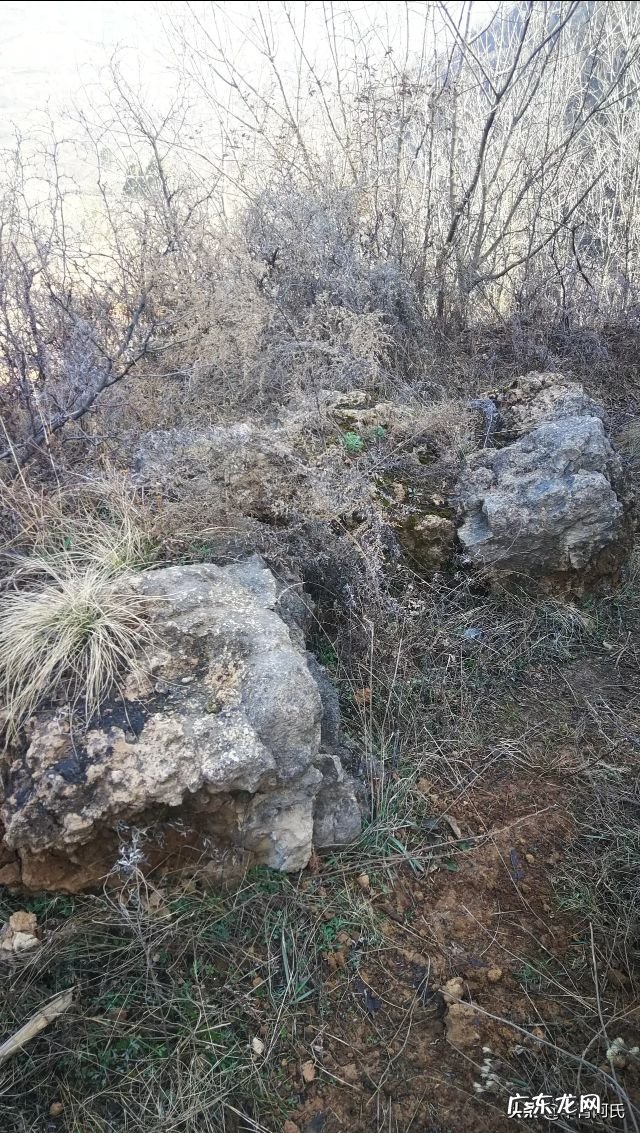 青州杏林堂 杏花 风水