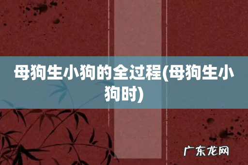 母狗生小狗时 母狗生小狗的全过程