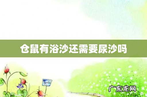 仓鼠有浴沙还需要尿沙吗