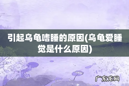 乌龟爱睡觉是什么原因 引起乌龟嗜睡的原因