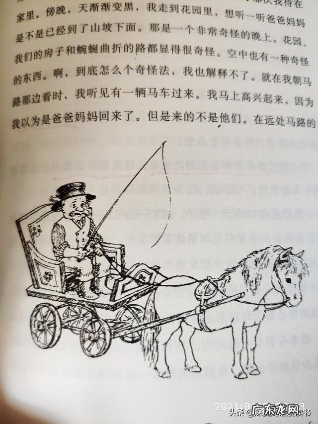 介绍玩具布娃娃 布娃娃玩具作文