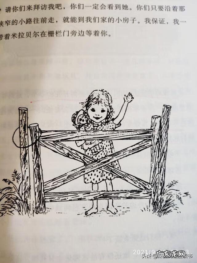 介绍玩具布娃娃 布娃娃玩具作文