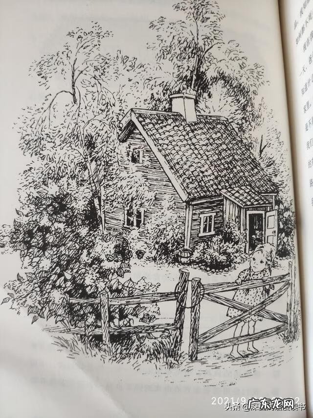 介绍玩具布娃娃 布娃娃玩具作文