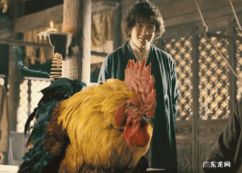 天星风水基础知识 天星风水是真的吗