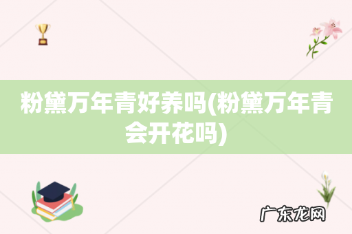 粉黛万年青会开花吗 粉黛万年青好养吗