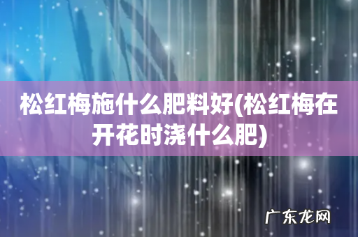松红梅在开花时浇什么肥 松红梅施什么肥料好