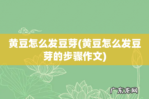 黄豆怎么发豆芽的步骤作文 黄豆怎么发豆芽