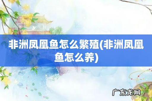 非洲凤凰鱼怎么养 非洲凤凰鱼怎么繁殖